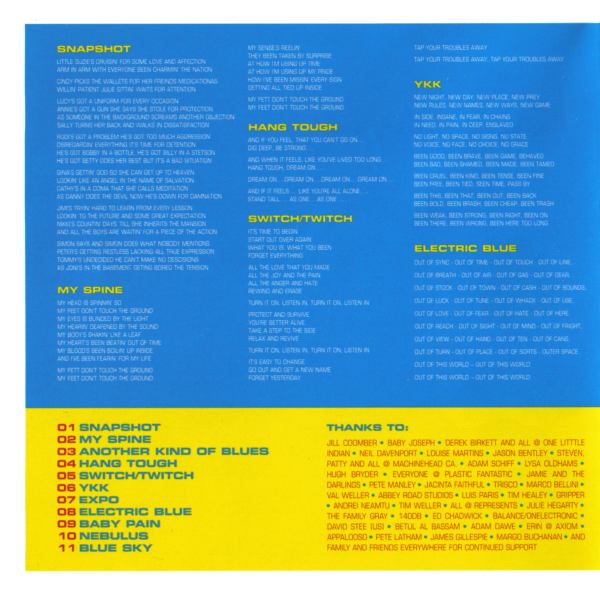 Booklet cover of Puppy by Fluke