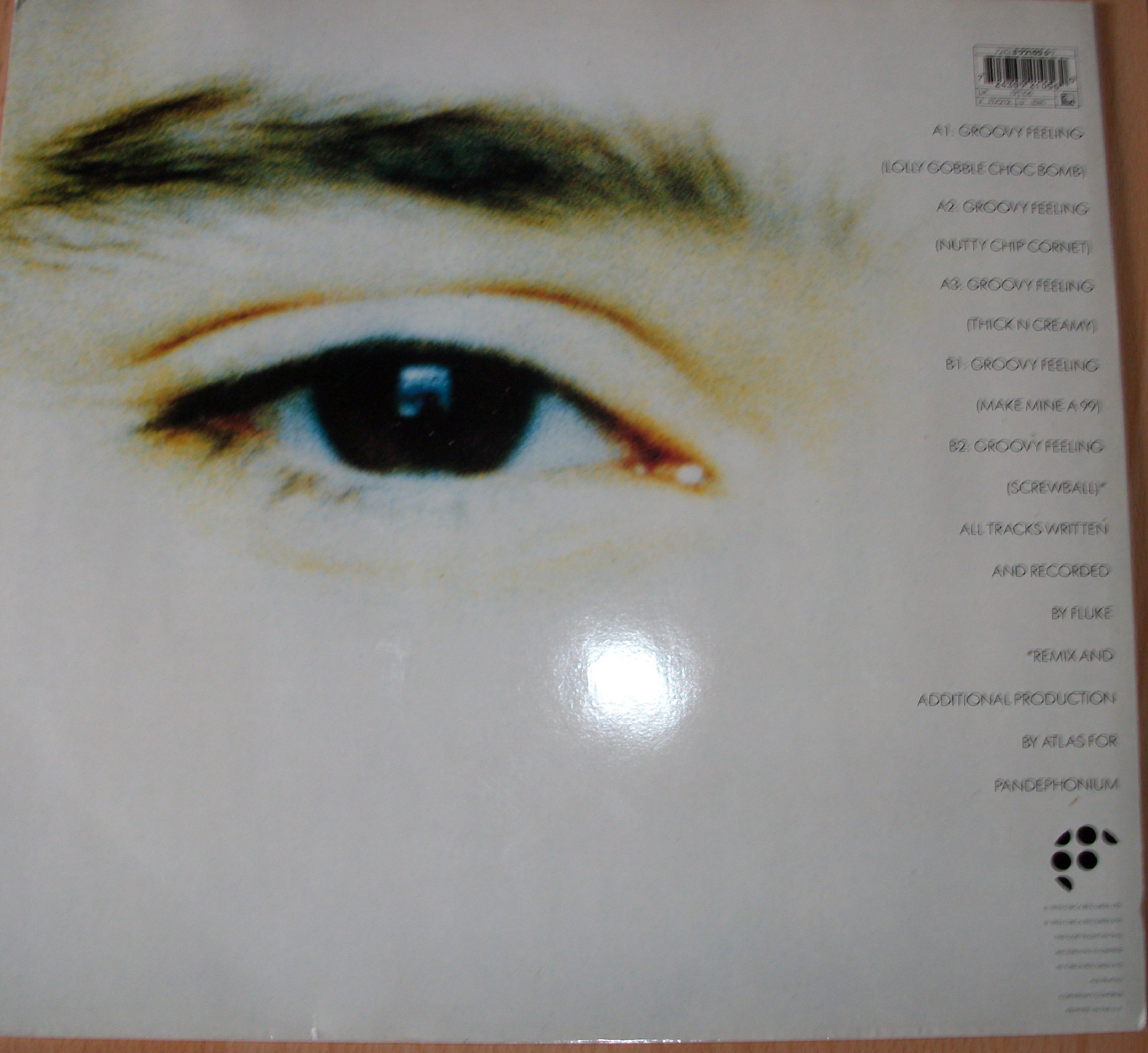 Back cover of Groovy Feeling by Fluke