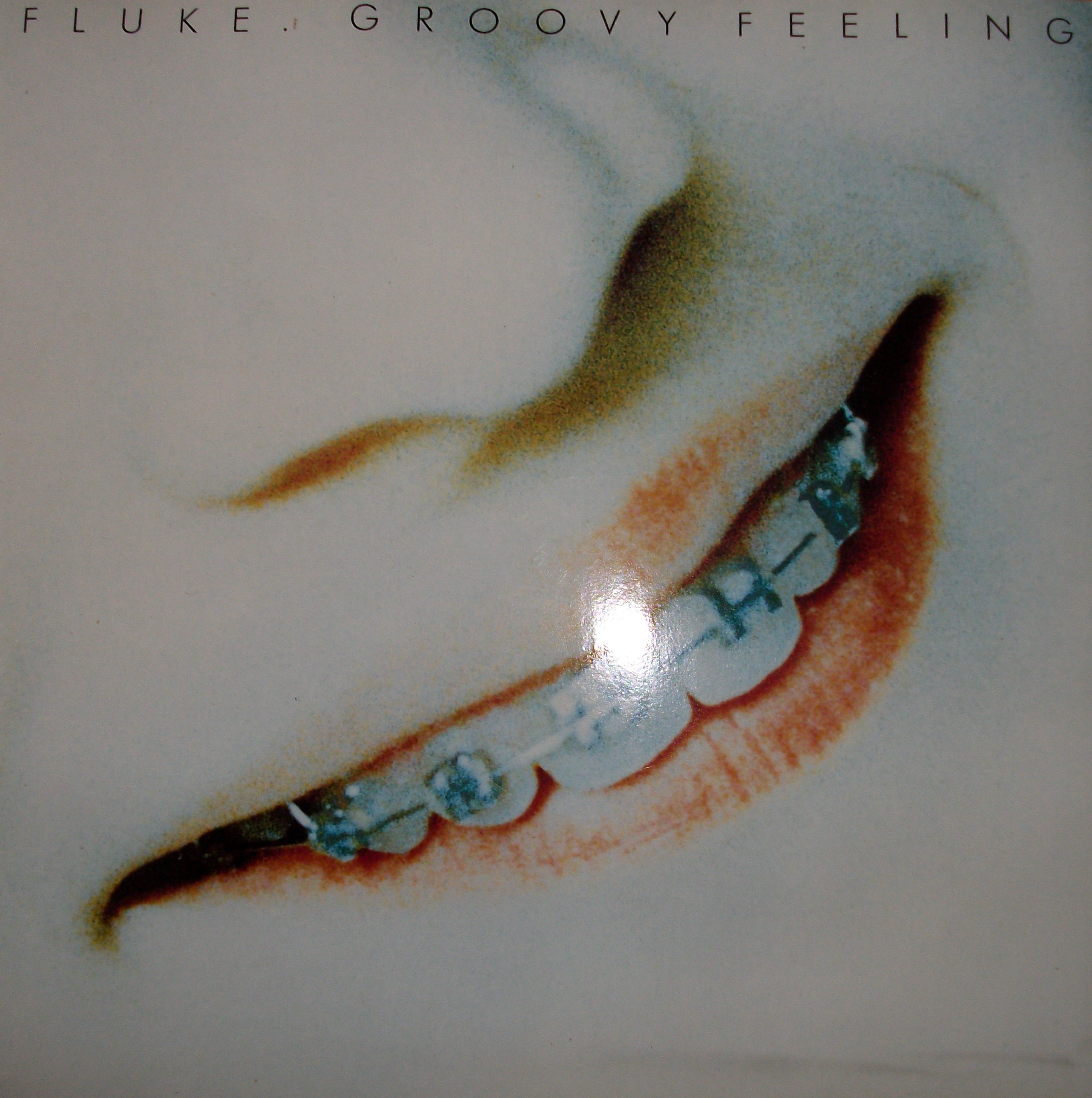 Front cover of Groovy Feeling by Fluke